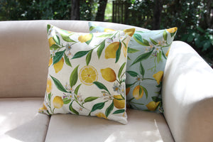 Linen Cushion Cover - Lemon Fresh, Neutral Ground - Beths Emporium