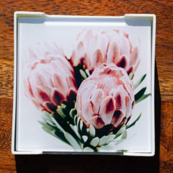 Set of Glass Coasters - Posy of Proteas - Beths Emporium