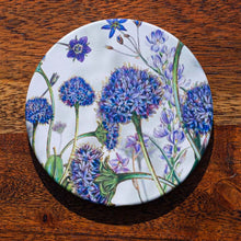 Load image into Gallery viewer, Coaster -  Brunonia Blue Pincushion - Australian Native Flora - Beths Emporium