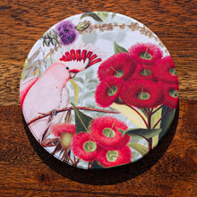 Load image into Gallery viewer, Coaster - Major Mitchell on Red Flowering Gum - Australian Native - Beths Emporium