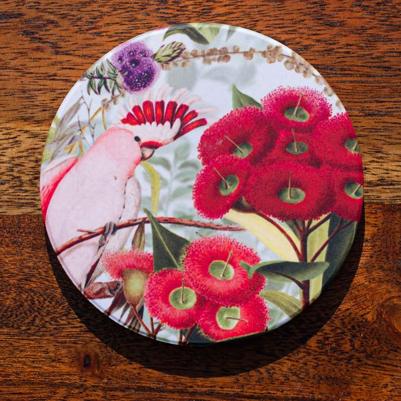 Coaster - Major Mitchell on Red Flowering Gum - Australian Native - Beths Emporium