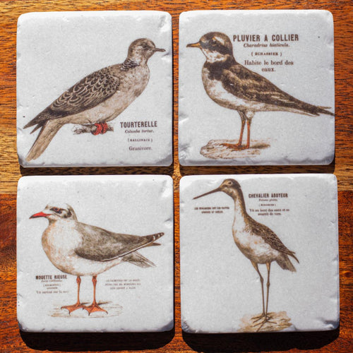 Set of Coasters - French Birds - Beths Emporium