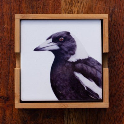 Set of Coasters - Magpie - Australian Native - Beths Emporium