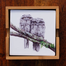Load image into Gallery viewer, Set of Coasters - Tawney Frogmouth Couple - Australian Native - Beths Emporium