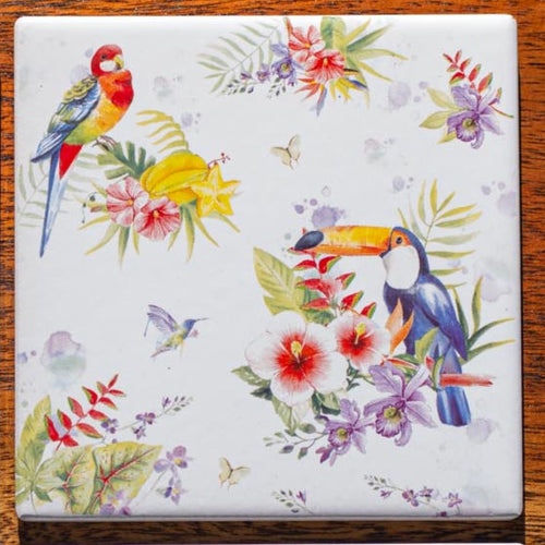 Set of Coasters - Tropical Paradise - Parrots, Toucans, Hibiscus & Orchids - Beths Emporium